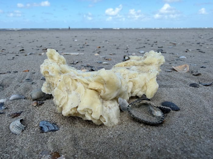 Die weißen Klumpen wurden unter anderem auf Borkum, Juist und Norderney entdeckt. / Foto: Volker Bartels/dpa
