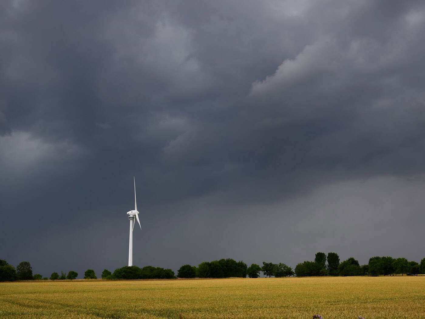 Wegen einer Gewitterfront gelten erste Unwetterwarnungen in Niedersachsen. (Archivbild) / Foto: Julian Stratenschulte/dpa