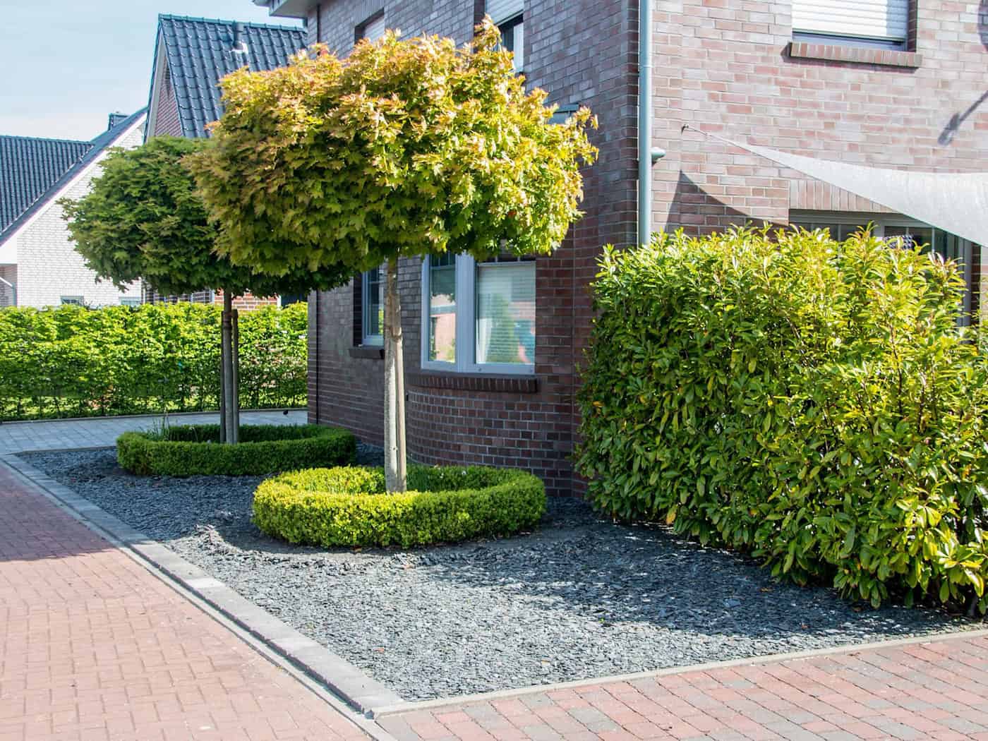 Dieser frühere Schottergarten in Emden wurde 2022 umgestaltet. (Archivbild) / Foto: Lennart Stock/dpa/dpa-tmn