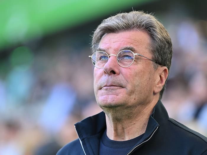 Jubiläum mitten im Abstiegskampf: Wolfsburgs Trainer Dieter Hecking. (Archivbild) / Foto: Swen Pförtner/dpa