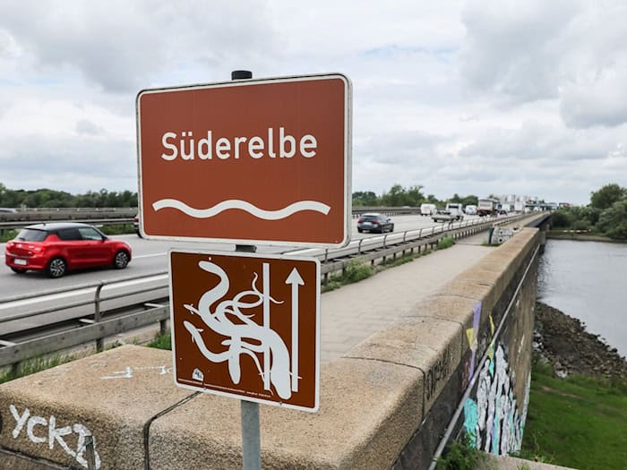 Die Süderelbbrücke der A1 wird am Wochenende in Fahrtrichtung Lübeck gesperrt. (Archivbild) / Foto: Christian Charisius/dpa