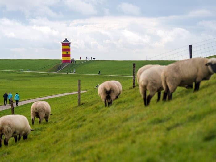 Schöne Deiche hat Niedersachsen zu bieten – aber was ist mit der Wirtschaft, fragt die CDU? (Symbolbild) / Foto: Sina Schuldt/dpa