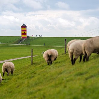 Schöne Deiche hat Niedersachsen zu bieten – aber was ist mit der Wirtschaft, fragt die CDU? (Symbolbild) / Foto: Sina Schuldt/dpa