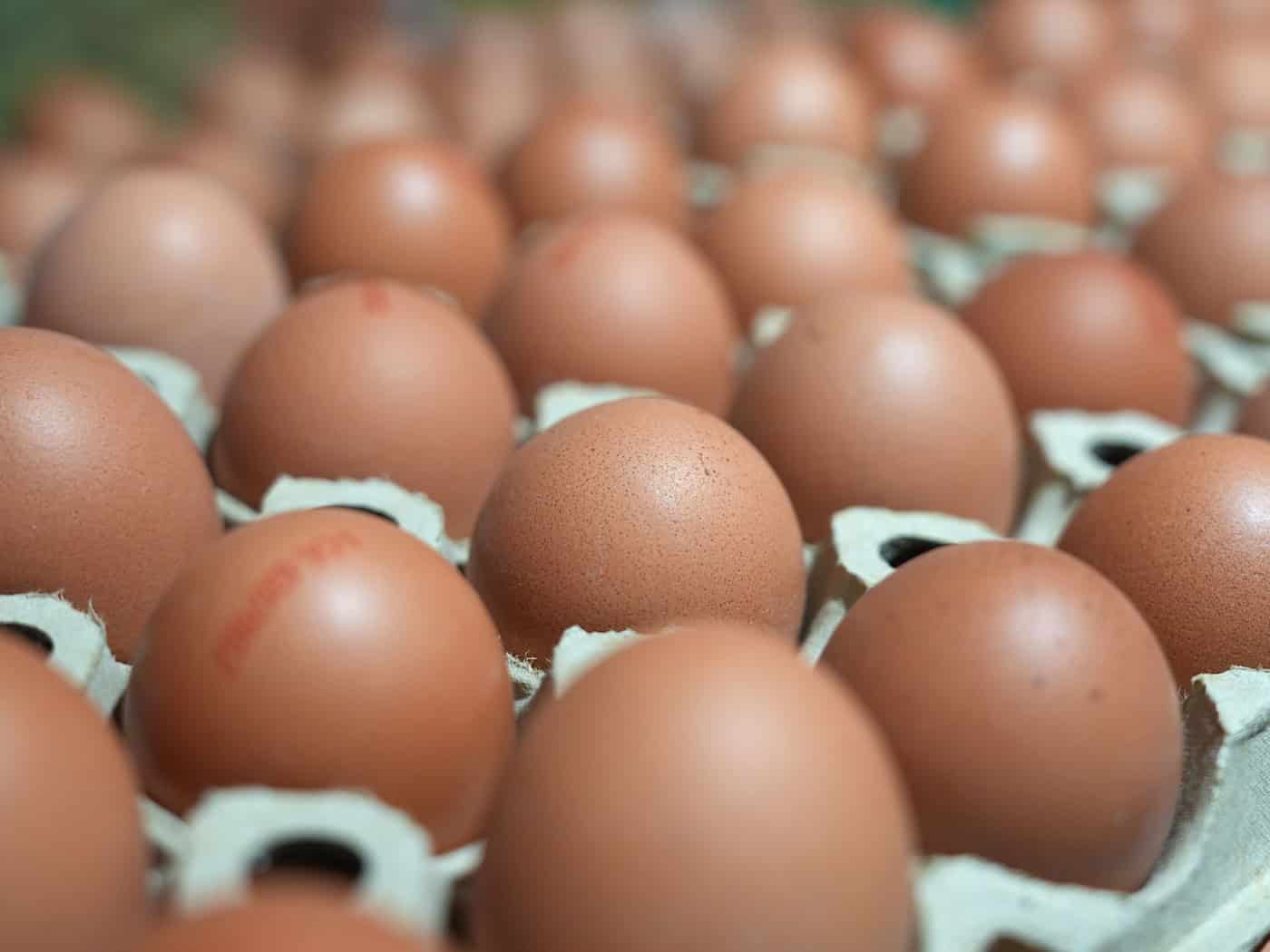 Der Mann hat eine Legehennenfarm in Dinklage um 120.000 Eier betrogen. (Symbolbild) / Foto: Marcus Brandt/dpa