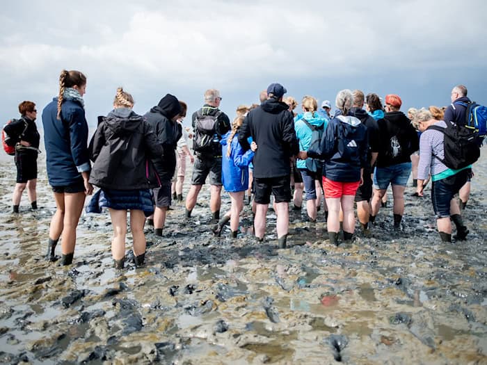 Wattwandern an der Nordsee: Sicherheitstipps zu Gezeiten, Schuhwerk und Rettung