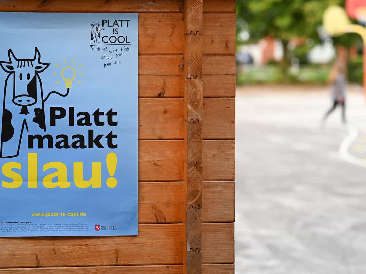 «Plattdeutsch macht schlau» steht übersetzt auf diesem Plakat. (Archivbild) / Foto: Lars Penning/dpa