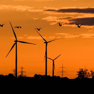 Bis 2030 will Niedersachsen seine Treibhausgasemissionen um 75 Prozent senken, bis 2035 um 90 Prozent. Fünf Jahre später soll das Land klimaneutral sein. (Symbolbild) / Foto: Julian Stratenschulte/dpa