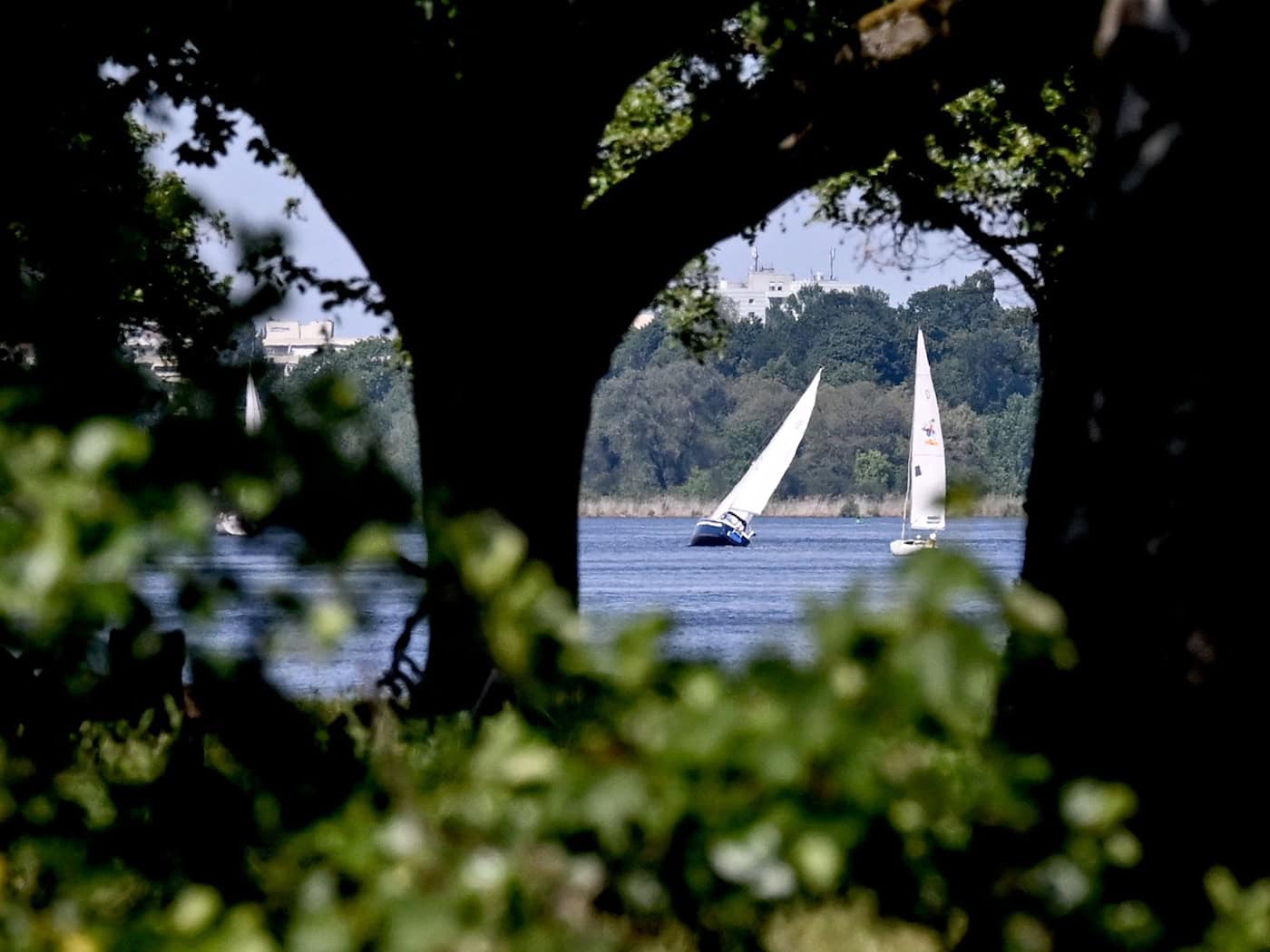 Zwei Segelboote sind zusammengestoßen. (Symbolbild) / Foto: Britta Pedersen/dpa
