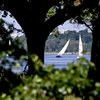 Zwei Segelboote sind zusammengestoßen. (Symbolbild) / Foto: Britta Pedersen/dpa