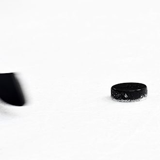 Die Straubing Tigers bekommen einen neuen Co-Trainer. (Symbolbild) / Foto: Tobias Hase/dpa