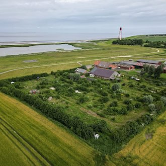 Der verlassene Campingplatz Dyksterhus in Ostfriesland soll versteigert werden. / Foto: Lars Penning/dpa