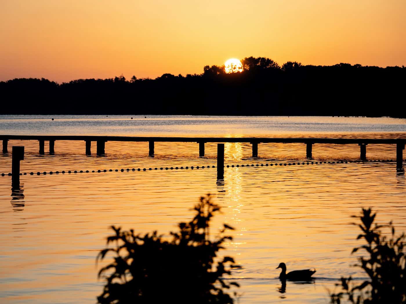 Sonne und sommerliche Temperaturen werden in dieser Woche erwartet. (Symbolbild) / Foto: Hauke-Christian Dittrich/dpa