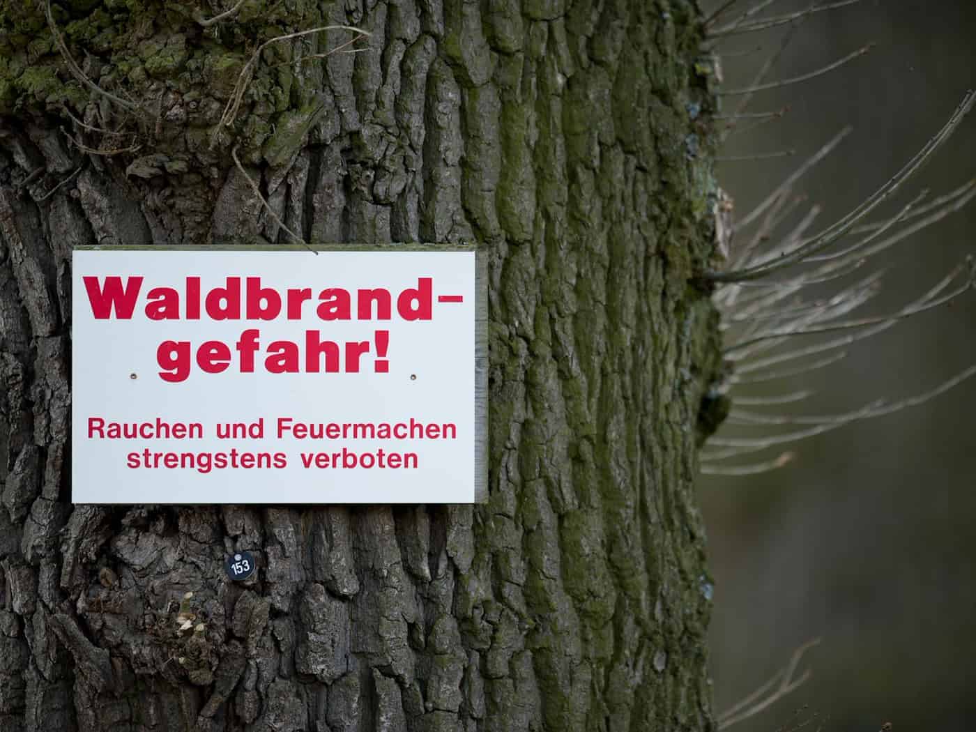 Trockenheit und offenes Feuer sind ein gefährliches Rezept für Wälder. (Symbolbild) / Foto: David-Wolfgang Ebener/dpa