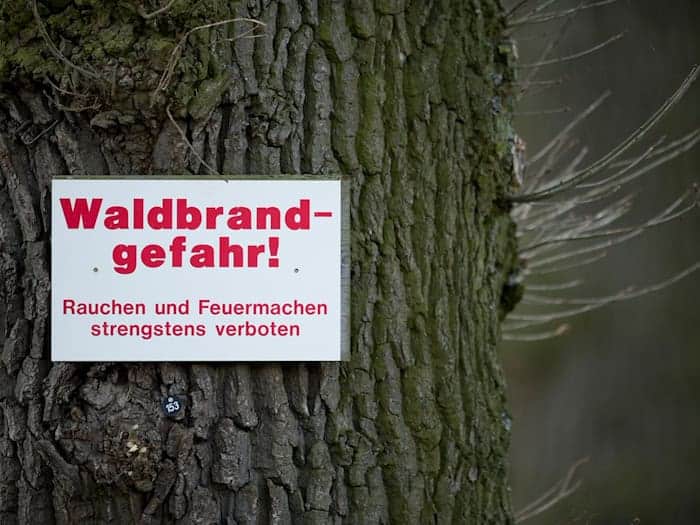 Trockenheit und offenes Feuer sind ein gefährliches Rezept für Wälder. (Symbolbild) / Foto: David-Wolfgang Ebener/dpa
