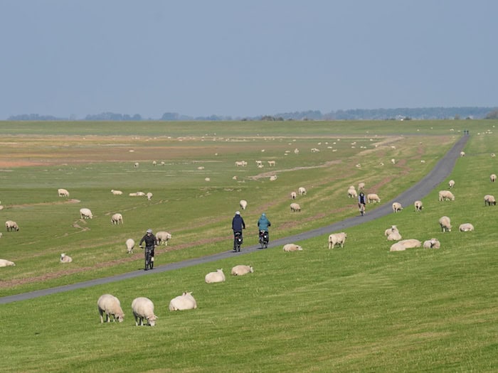 Deichfrühstücke entlang der Nordseeküste zum 17. Geburtstag des Wattenmeers