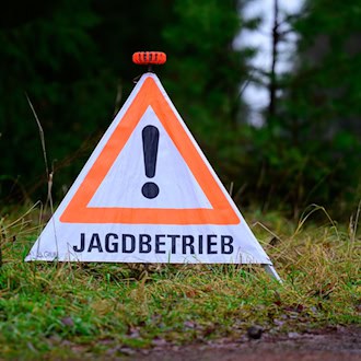 Anwohnerin im Garten von Kugel getroffen - Jäger vor Gericht