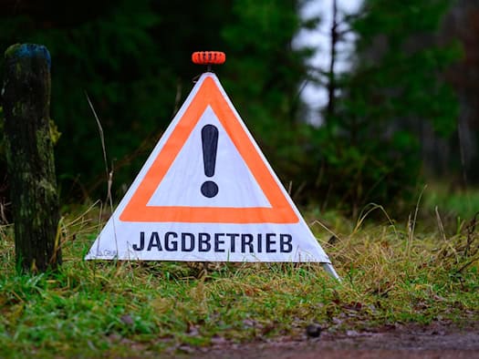 Anwohnerin im Garten von Kugel getroffen - Jäger vor Gericht