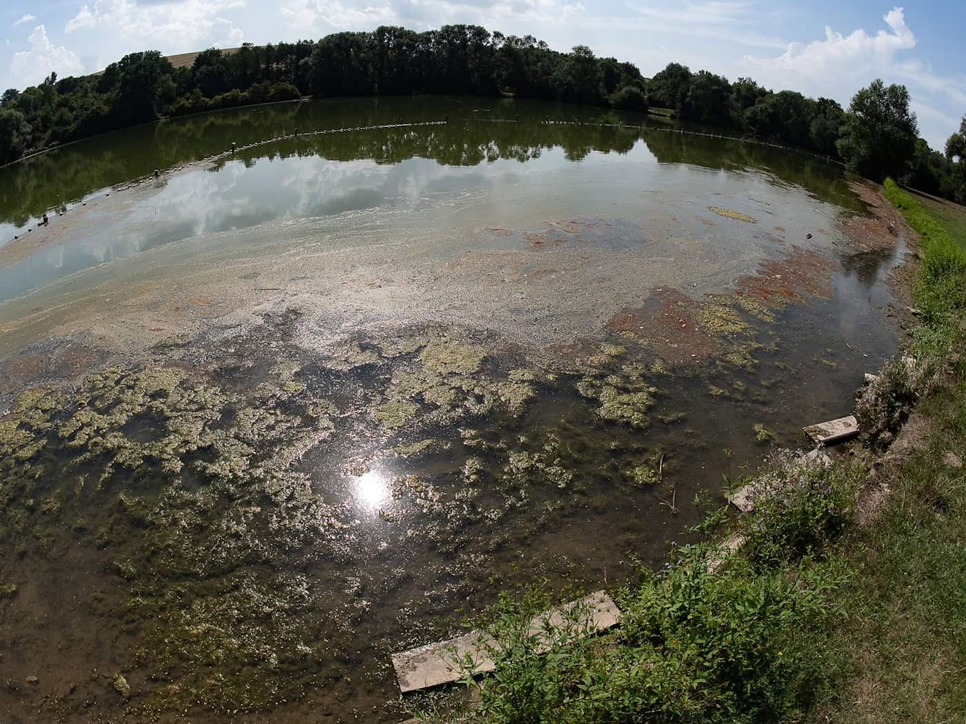 Es können Trübungen des Wassers sowie Schlieren oder Ansammlungen an der Wasseroberfläche auftreten. (Symbolbild) / Foto: Swen Pförtner/dpa