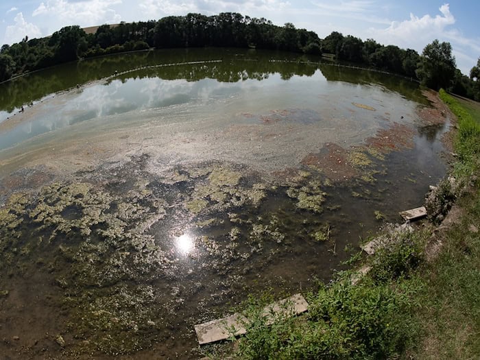 Es können Trübungen des Wassers sowie Schlieren oder Ansammlungen an der Wasseroberfläche auftreten. (Symbolbild) / Foto: Swen Pförtner/dpa
