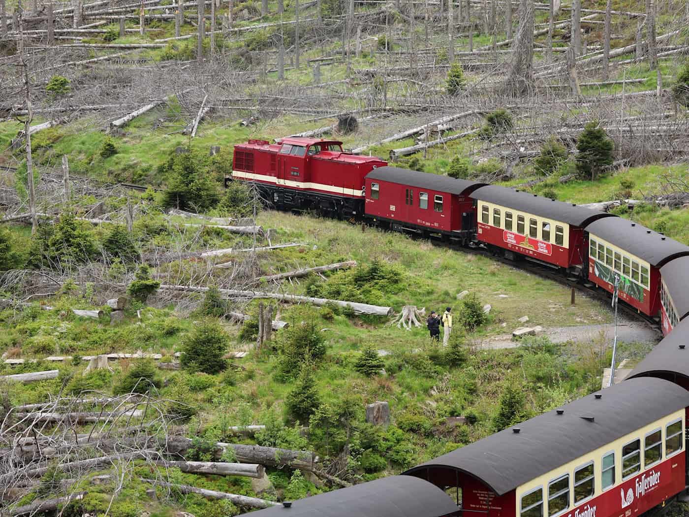 Wegen der hohen Waldbrandgefahr fahren auf der Brockenstrecke vorerst wieder Diesellokomotiven statt Dampfloks. (Archivbild) / Foto: Matthias Bein/dpa