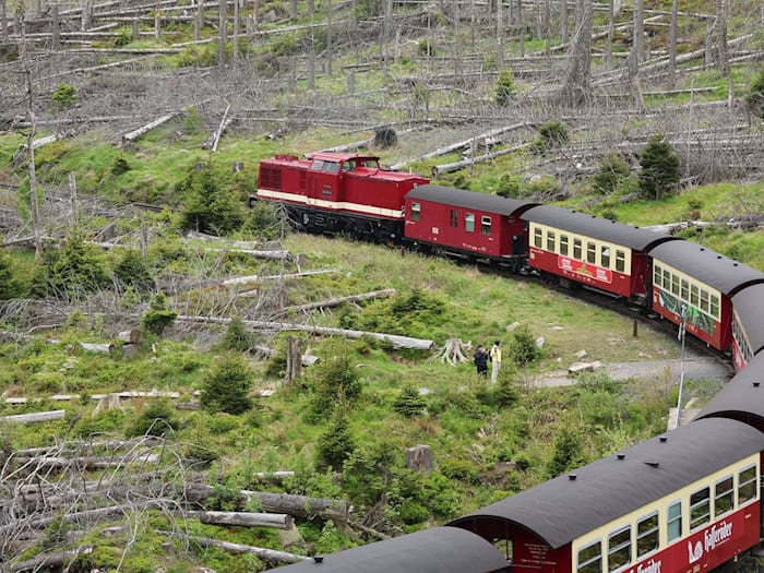 Wegen der hohen Waldbrandgefahr fahren auf der Brockenstrecke vorerst wieder Diesellokomotiven statt Dampfloks. (Archivbild) / Foto: Matthias Bein/dpa