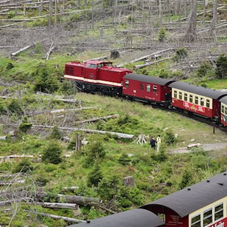 Wegen der hohen Waldbrandgefahr fahren auf der Brockenstrecke vorerst wieder Diesellokomotiven statt Dampfloks. (Archivbild) / Foto: Matthias Bein/dpa