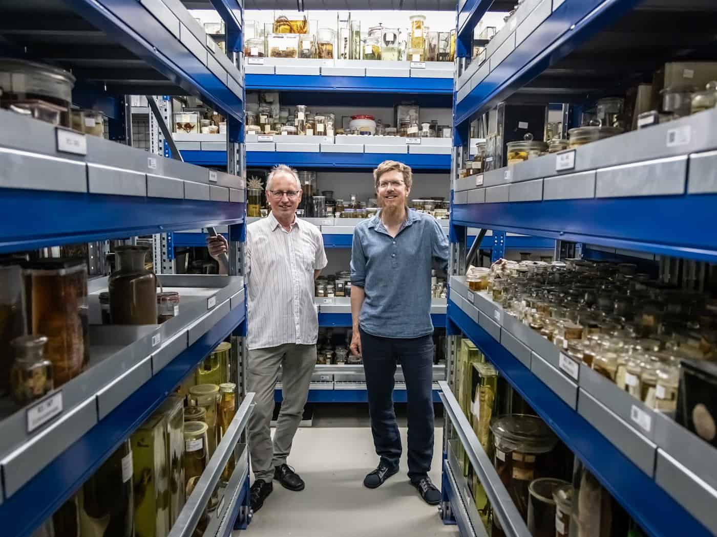 Rund 1,2 Millionen Objekte gehören zur Sammlung des Museums. / Foto: Focke Strangmann/dpa