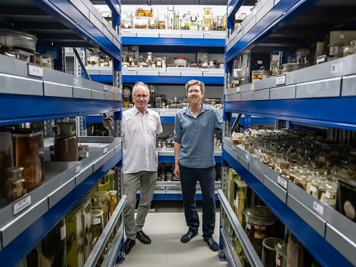 Rund 1,2 Millionen Objekte gehören zur Sammlung des Museums. / Foto: Focke Strangmann/dpa