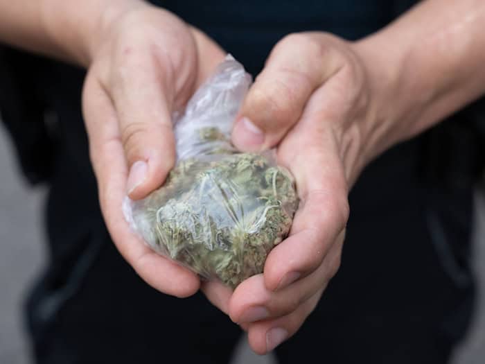 Ermittler beschlagnahmten mehr als 1,2 Tonnen Cannabis. (Symbolbild) / Foto: Boris Roessler/dpa