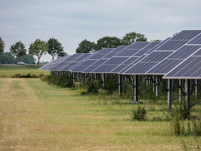 Zahlreiche Landwirte in Niedersachsen produzieren Sonnenstrom.  / Foto: Focke Strangmann/dpa