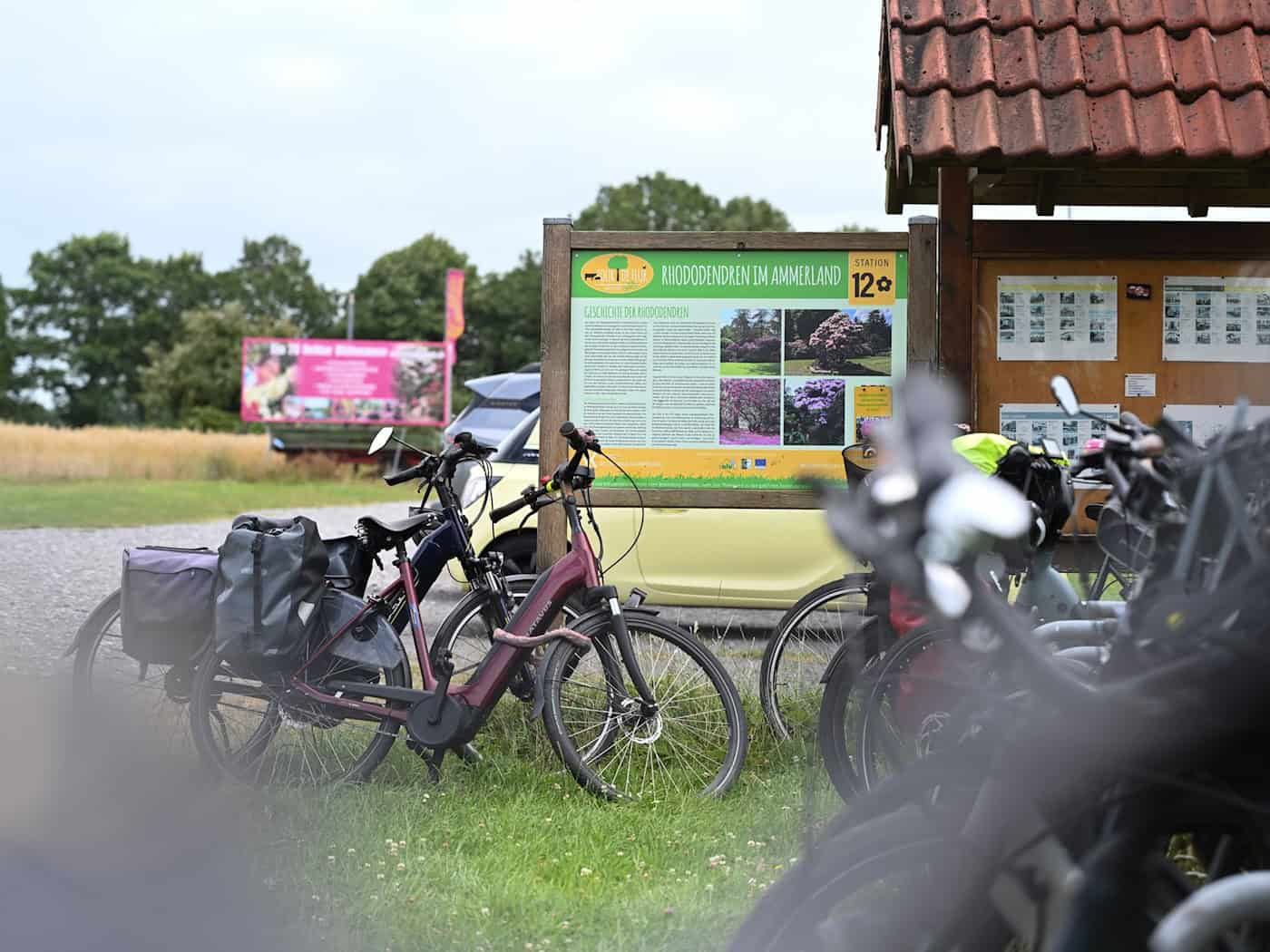 Auch abseits der großen Urlaubsregionen Harz, Heide und Küste wird in Niedersachsens kleineren Tourismusregionen im Sommer viel geboten.  / Foto: Lars Penning/dpa