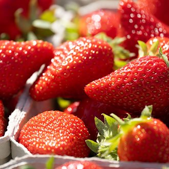 Auch in Niedersachsen wurden weniger Erdbeeren geerntet.  / Foto: Sebastian Kahnert/dpa