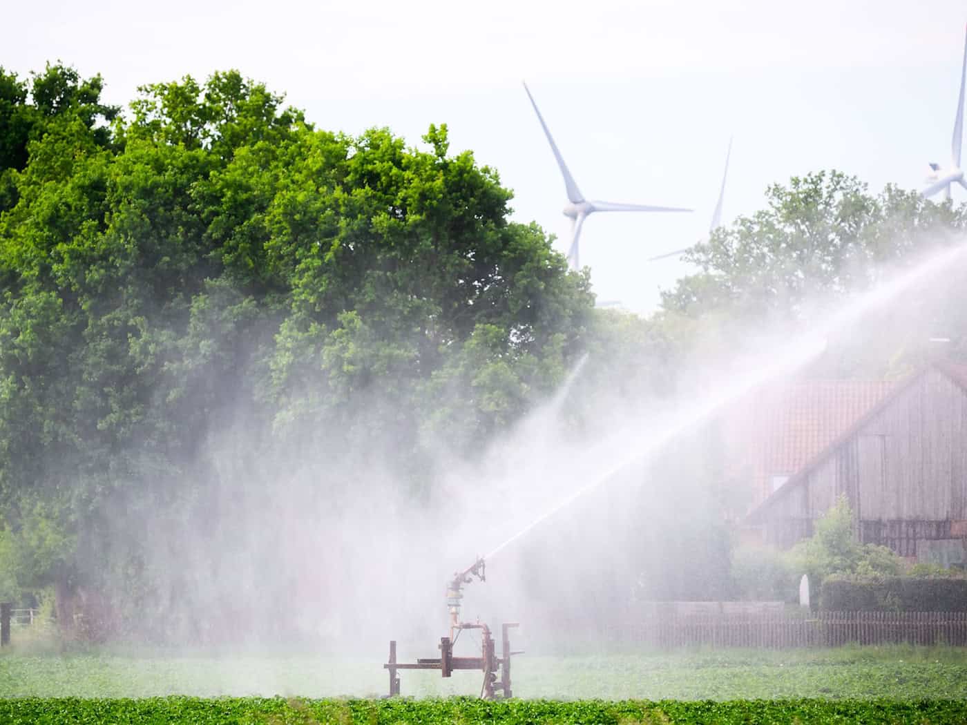 Ein Kartoffelfeld wird bewässert – doch die Grundwasserspiegel sinken. (Archivbild) / Foto: Julian Stratenschulte/dpa
