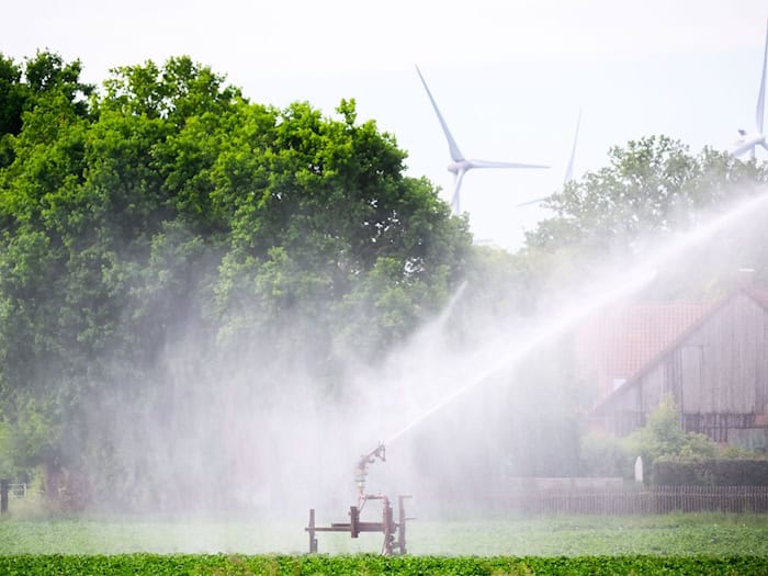 Ein Kartoffelfeld wird bewässert – doch die Grundwasserspiegel sinken. (Archivbild) / Foto: Julian Stratenschulte/dpa