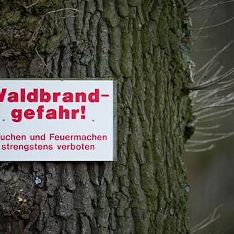 Im Harz gilt aktuell die zweithöchste Waldbrandgefahrenstufe. (Illustration) / Foto: David-Wolfgang Ebener/dpa