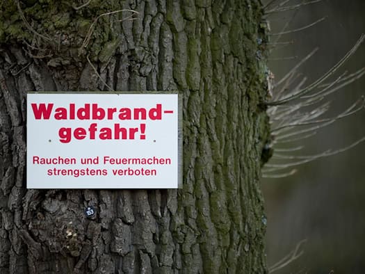 Hohe Waldbrandgefahr im Harz - Regen erst Sonntag in Sicht