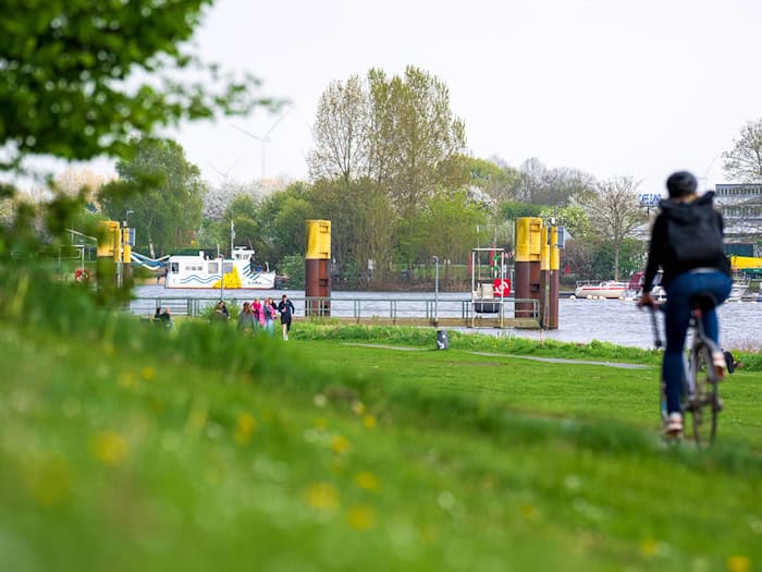 Passanten fanden eine Leiche in der Weser - in der Nähe der Sielwallfähre. (Archivbild) / Foto: Sina Schuldt/dpa