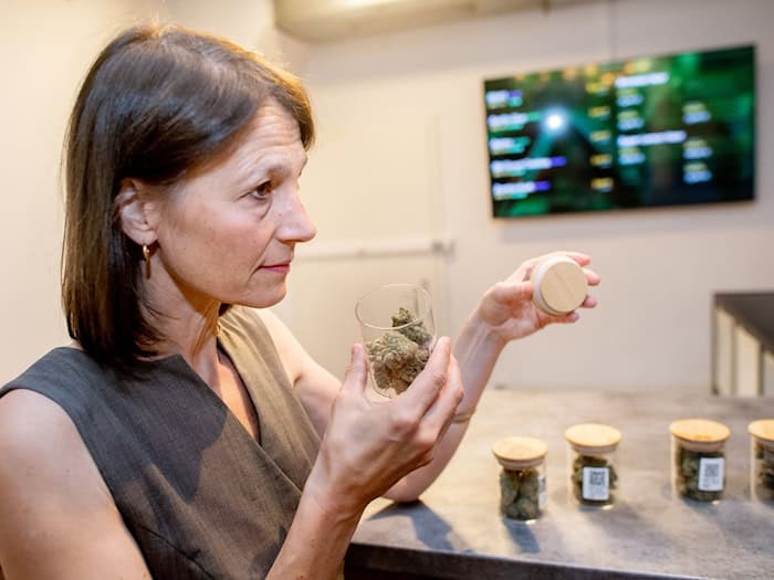 Die Ministerin informiert sich über verschiedene Cannabis-Sorten.  / Foto: Hauke-Christian Dittrich/dpa
