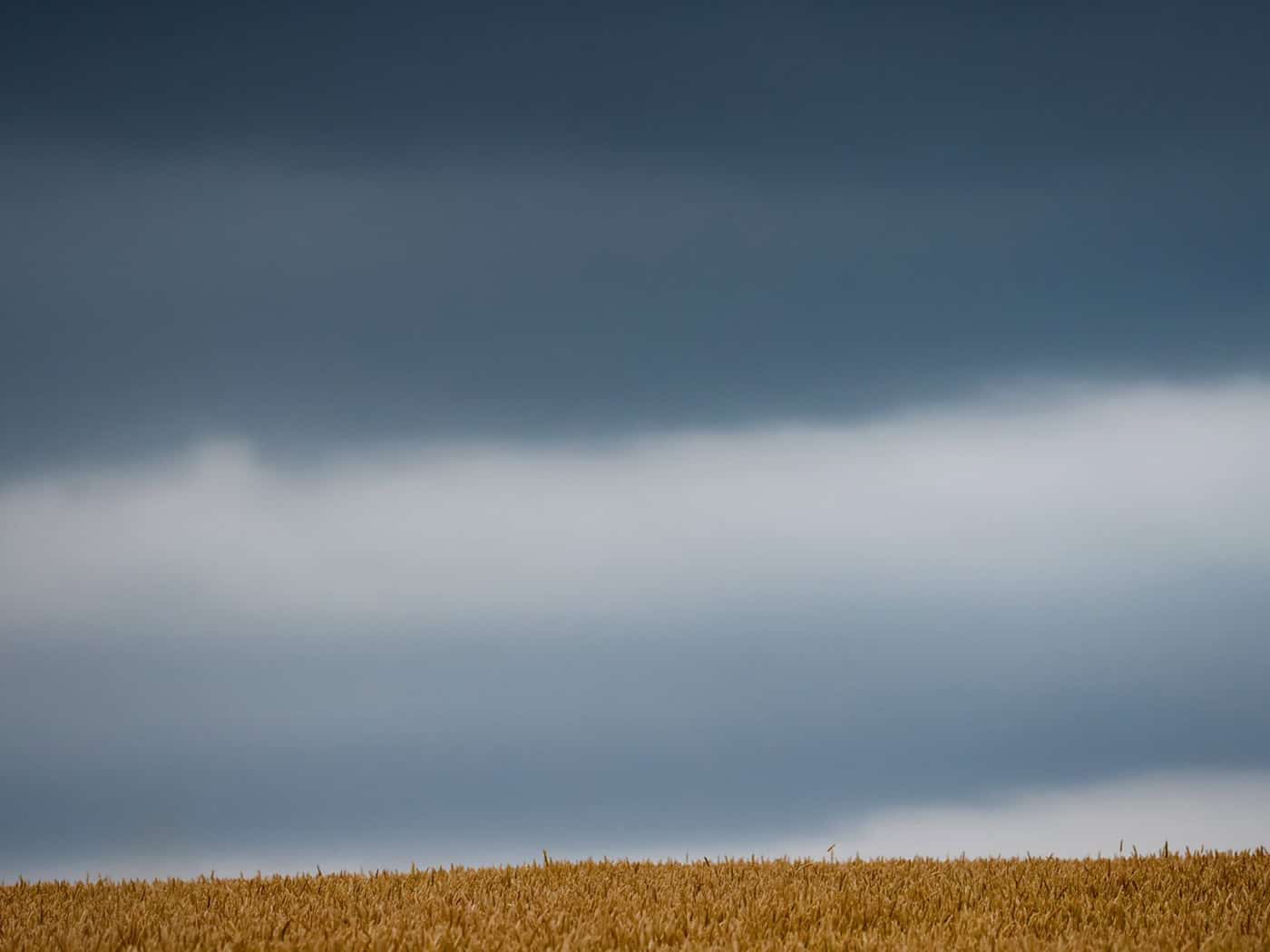 Viele Regenwolken sorgen im Nordwesten für nasse Tage. / Foto: Thomas Banneyer/dpa