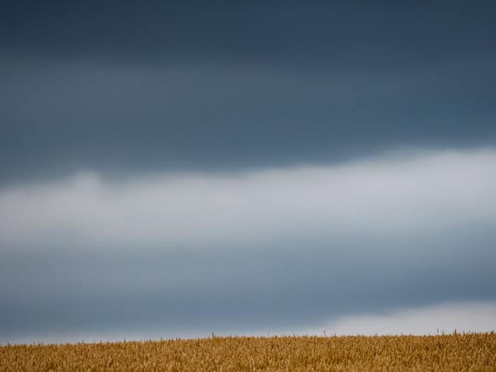 Viele Regenwolken sorgen im Nordwesten für nasse Tage. / Foto: Thomas Banneyer/dpa