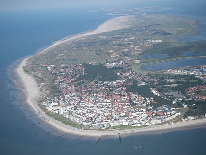 Schweinswal strandet vor Norderney