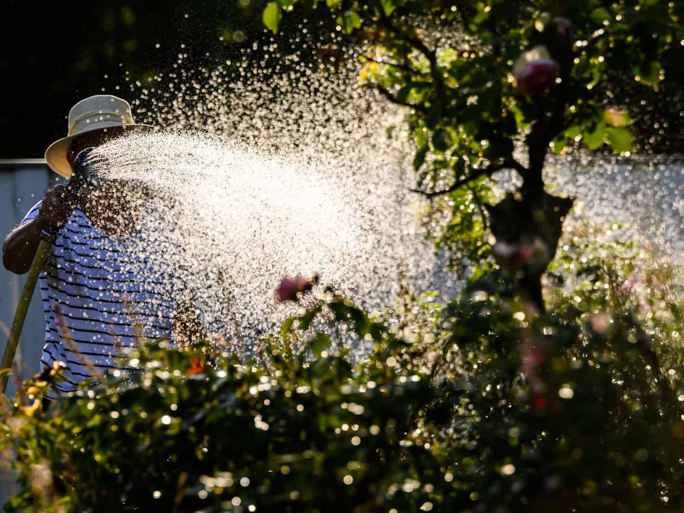 Wasser wird mancherorts knapp. (Symbolbild) / Foto: Julian Stratenschulte/dpa