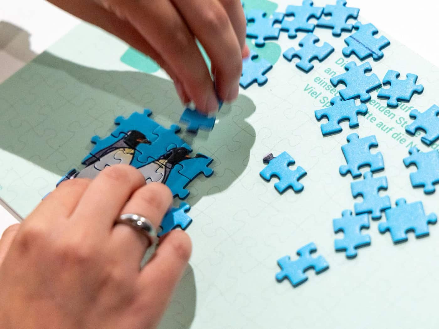 Die Puzzleteile können es in sich haben. / Foto: Focke Strangmann/dpa