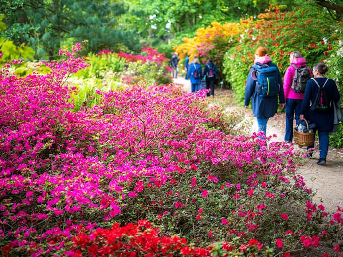 2032 soll die Landesgartenschau wieder im Park der Gärten in Bad Zwischenahn öffnen. (Archivbild) / Foto: Sina Schuldt/dpa