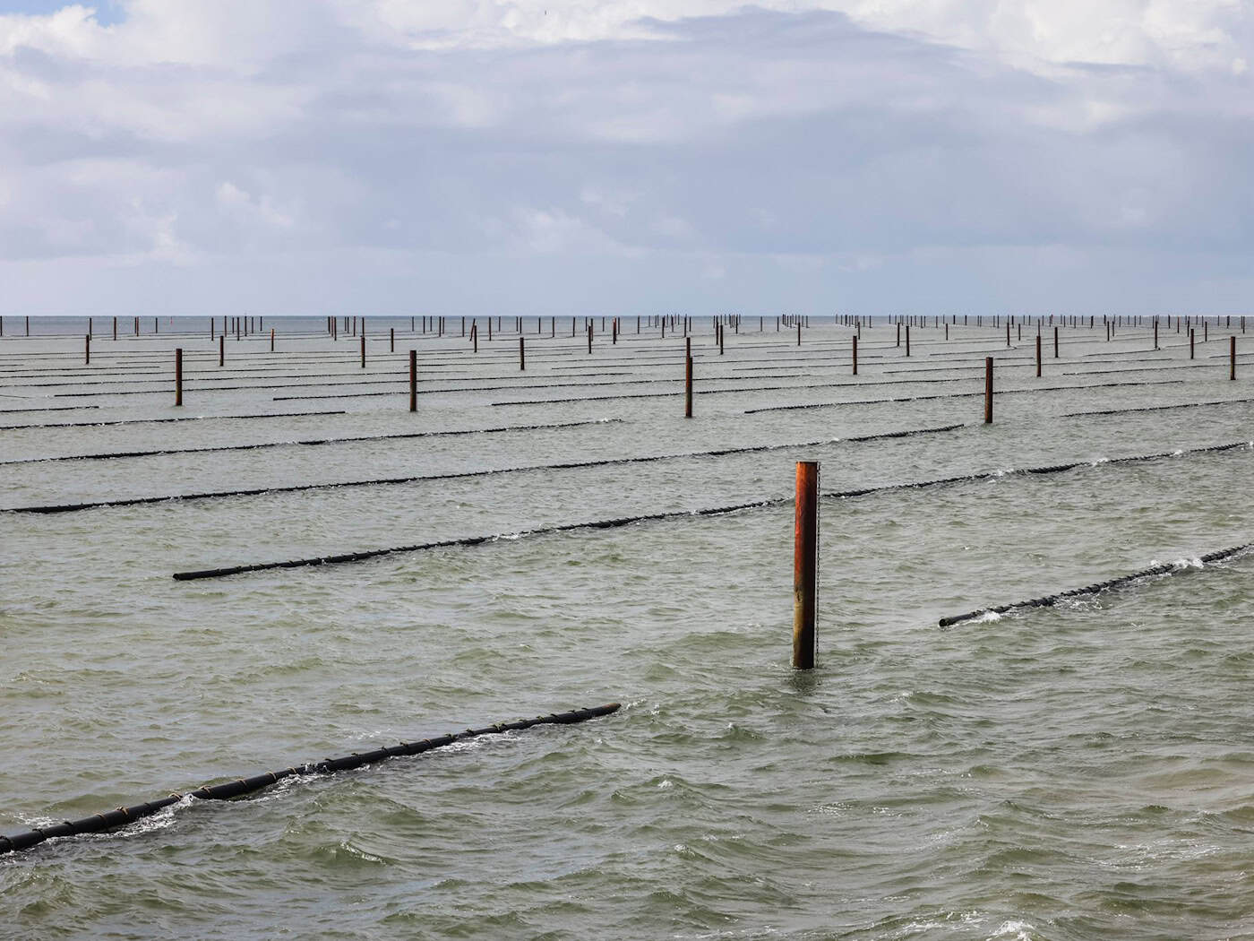 Mit traditioneller Fischerei hat die Muschelzucht heute wenig gemein (Archivbild). / Foto: Frank Molter/dpa
