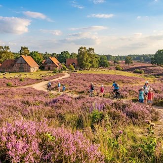 Sommer in Niedersachsen: Diese Ausflüge sorgen für Abwechslung