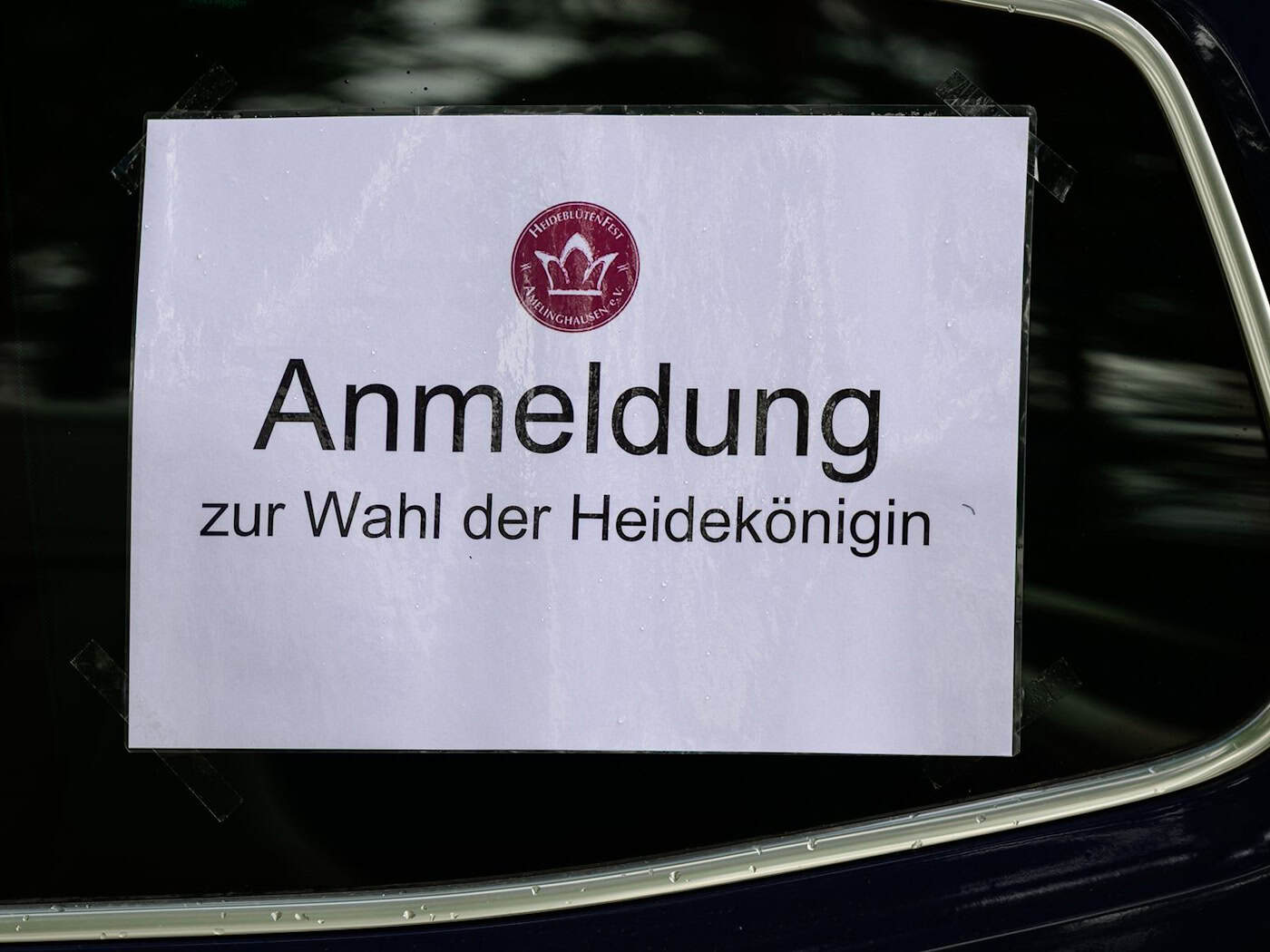 76. Heidekönigin in Amelinghausen gesucht