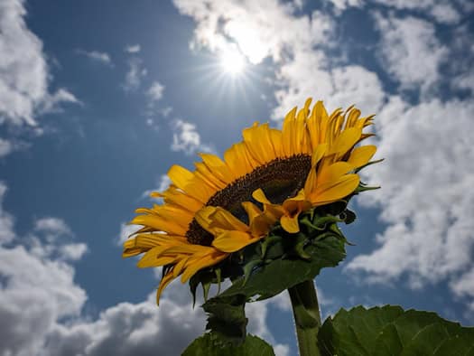 Ab wann wieder mehr Sonne zu erwarten ist