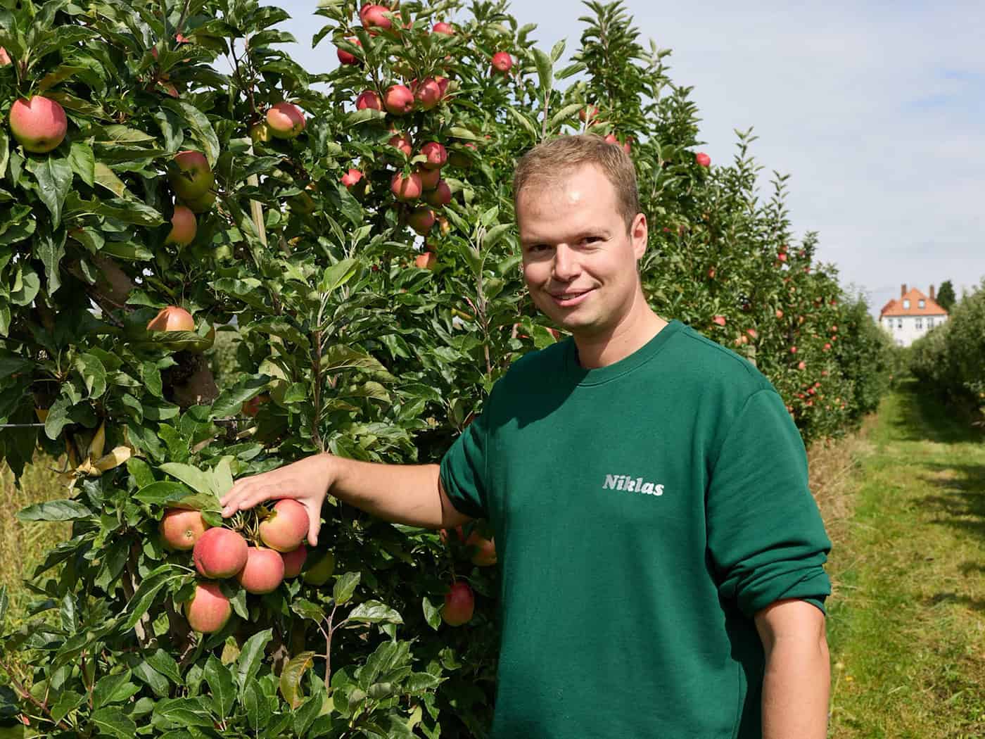 Hollern-Twielenfleth: Obstbauer Eckhoff verkauft Tüten mit gemischtem Obst für vier Euro