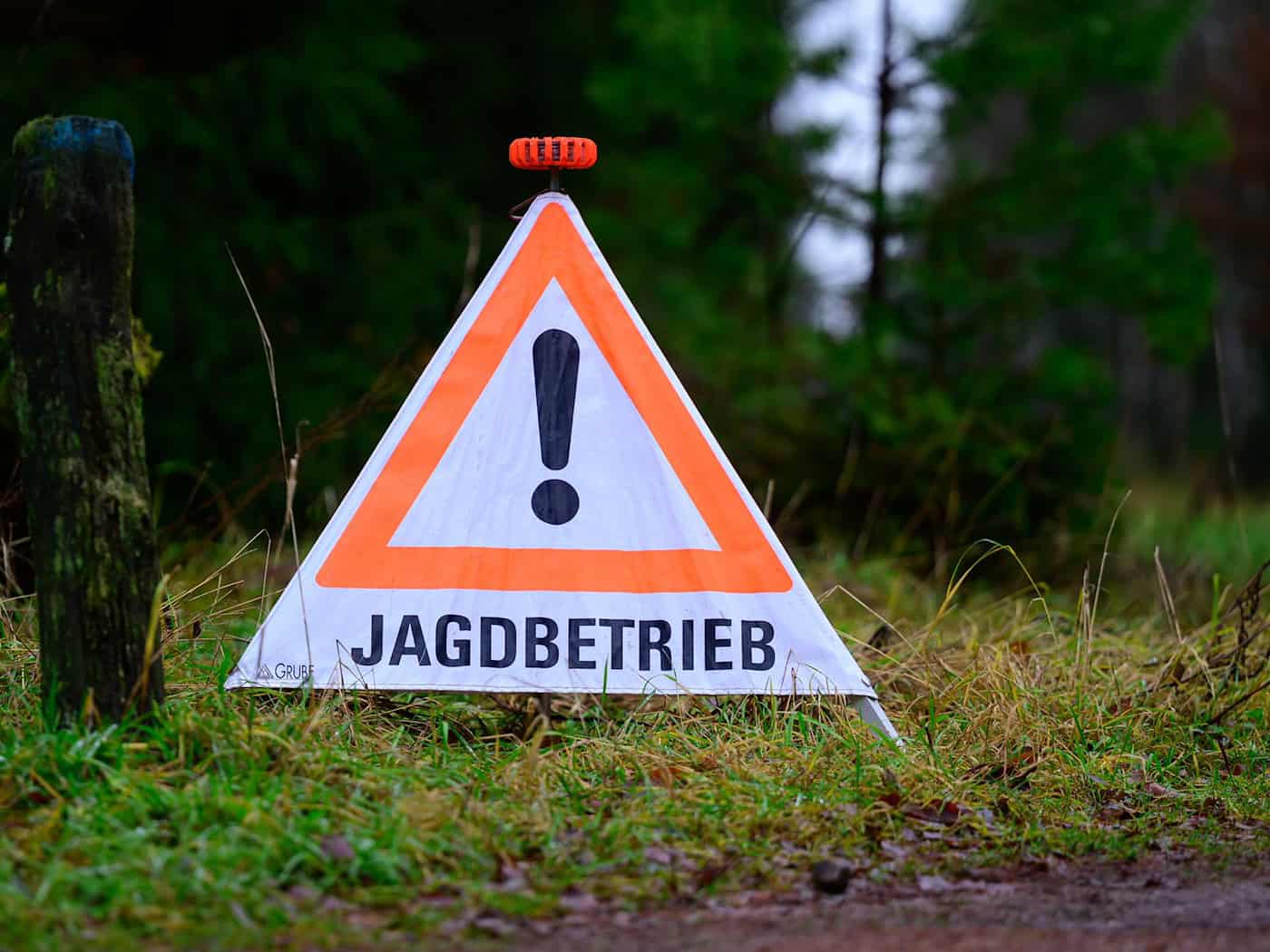 Anwohnerin im Garten von Kugel getroffen – Jäger verurteilt